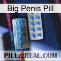 Big Penis Pill 40